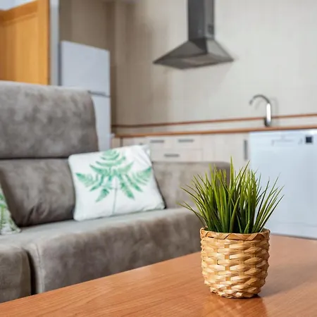 Casa Senores Cura - Solo Familias Apartment Conil De La Frontera